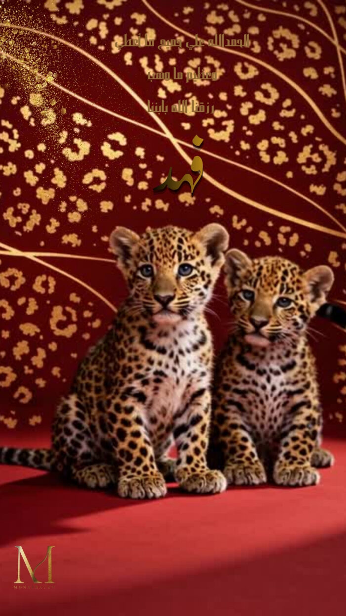 الحمدالله علي جميع ما أعطي وعظيم ما وهب رزقنا الله بابننل